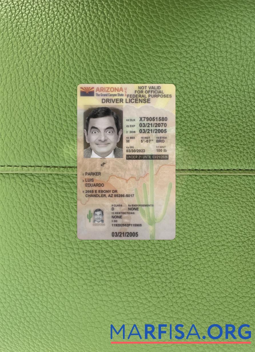 Printable USA Arizona under 21 driving license 2023 present photolook example